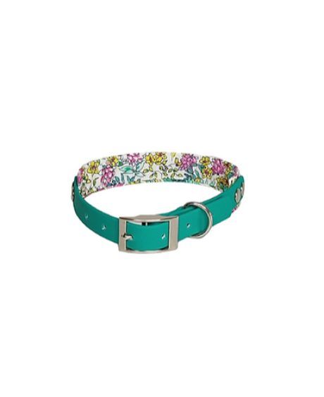COLLAR COMBI