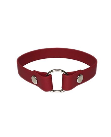 COLLAR IDENTIFICATIVO OMEGA