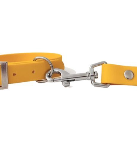 COLLAR IMPERMEABLE AMARILLO
