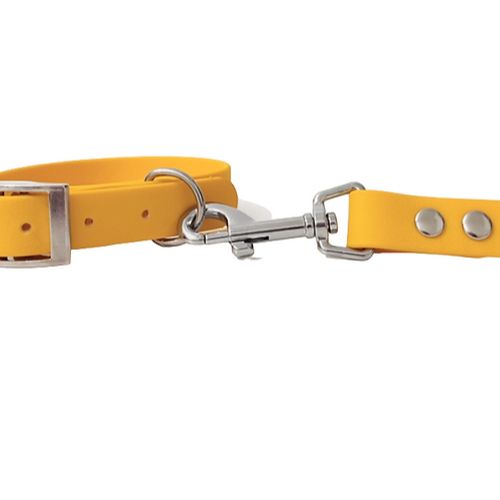 COLLAR IMPERMEABLE AMARILLO