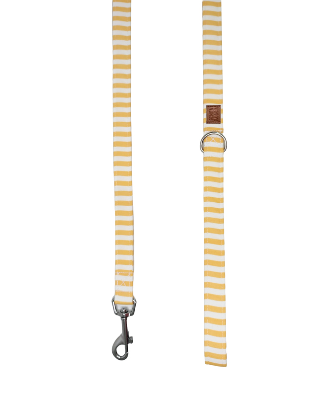 CORREA NAVY AMARILLO