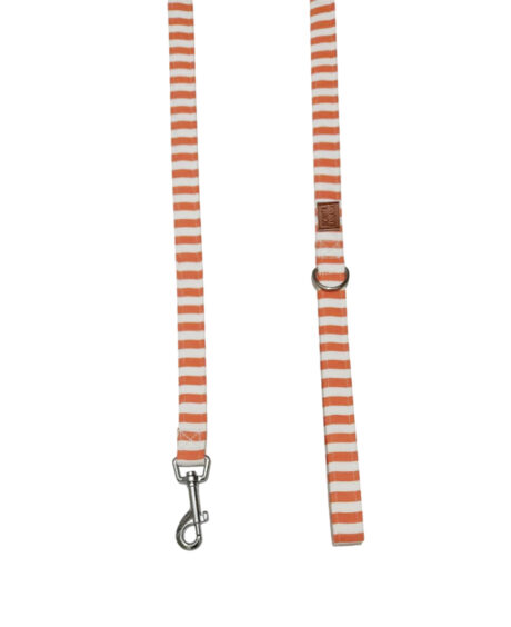 CORREA NAVY NARANJA