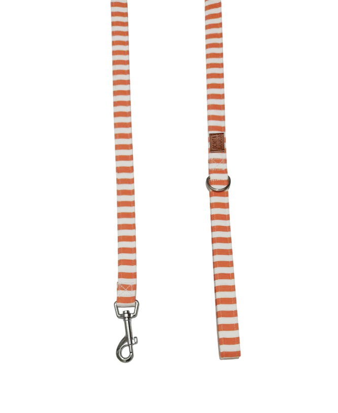 CORREA NAVY NARANJA
