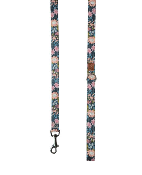 CORREA CHILL FLOWERS