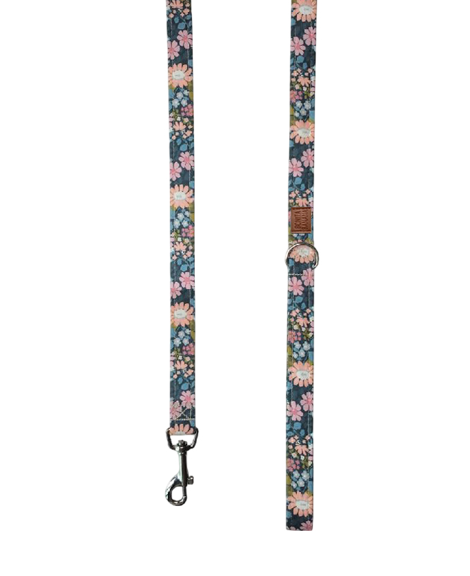 CORREA CHILL FLOWERS