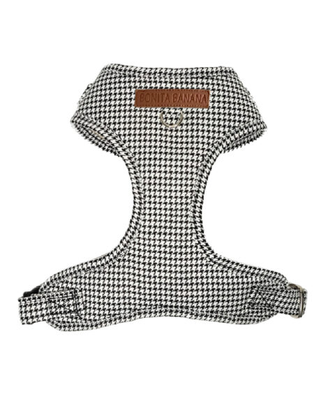 ARNÉS AJUSTABLE PATA GALLO B&N