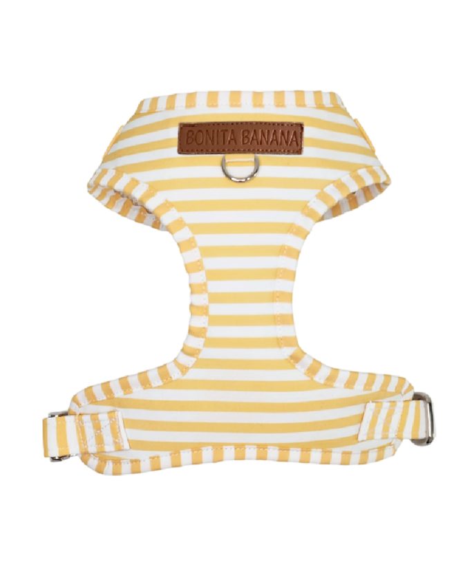ARNÉS AJUSTABLE NAVY AMARILLO