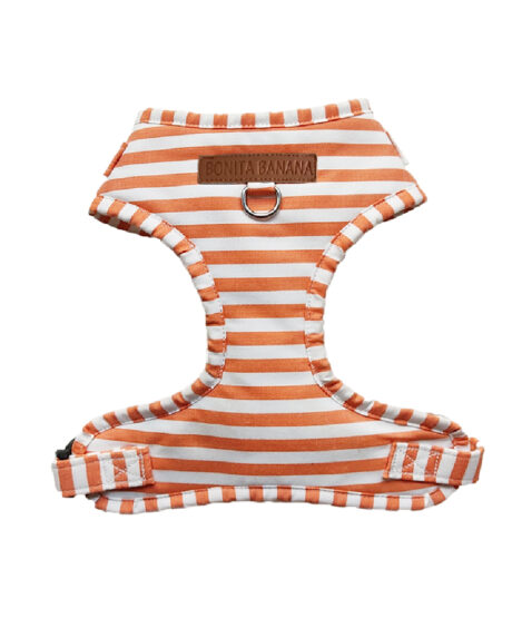 ARNÉS AJUSTABLE NAVY NARANJA