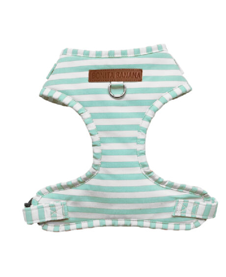 ARNÉS AJUSTABLE NAVY AGUAMARINA