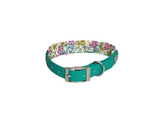 COLLAR COMBI