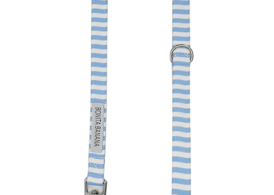Correas: accesorio para mascotas