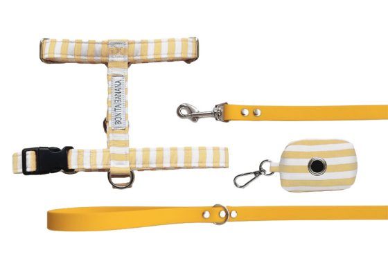 Packs de accesorios para perros
